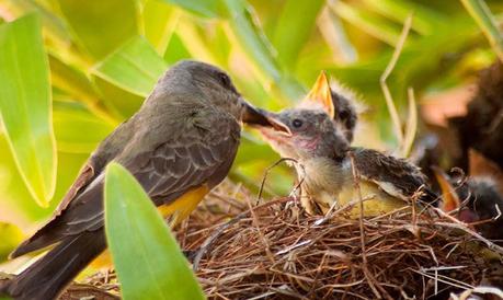 Una nueva oportunidad