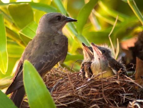 Una nueva oportunidad