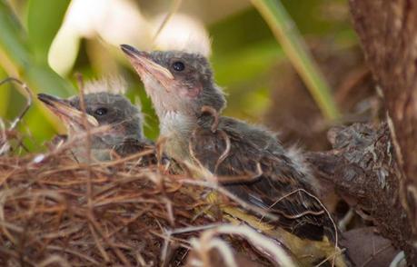 Una nueva oportunidad