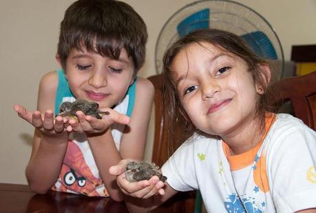 Una nueva oportunidad