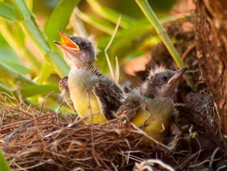 Una nueva oportunidad