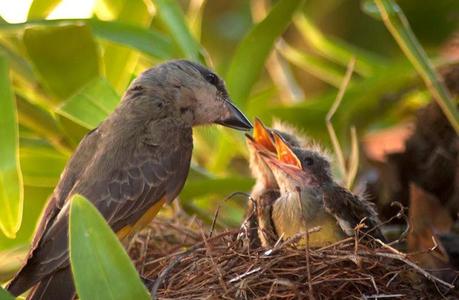 Una nueva oportunidad