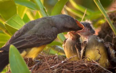 Una nueva oportunidad