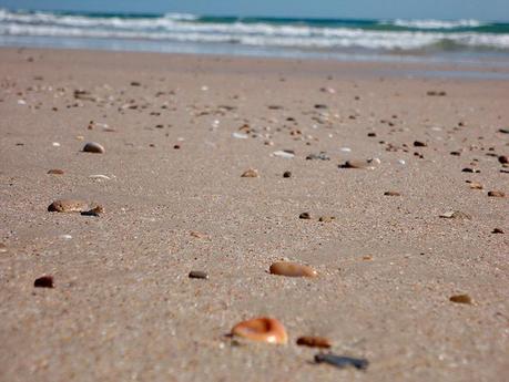 Aprende cómo crecer en tu posicionamiento web