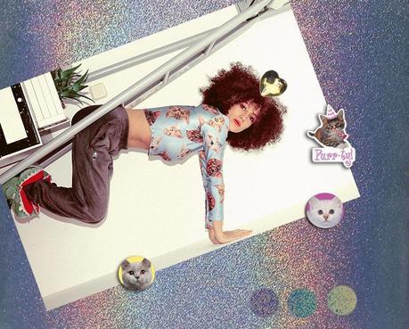 Meow …. hologram_cats_aminta