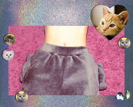 Meow …. hologram_teddybear_pants_cats