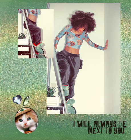 Meow …. cat_home_aminta