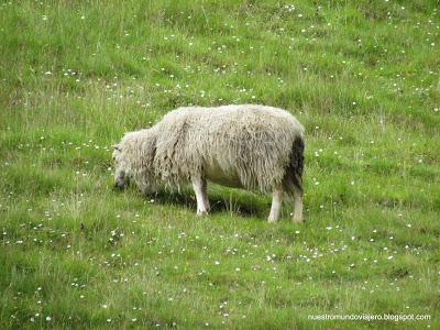 Islas Feroe; en mitad de ninguna parte