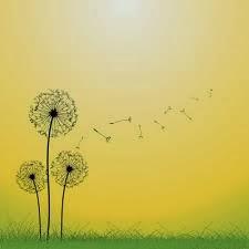 Indigestión y remedios naturales