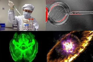 Los hitos de la ciencia de 2013