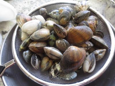 Almejas a la marinera