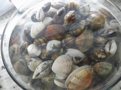 Almejas a la marinera