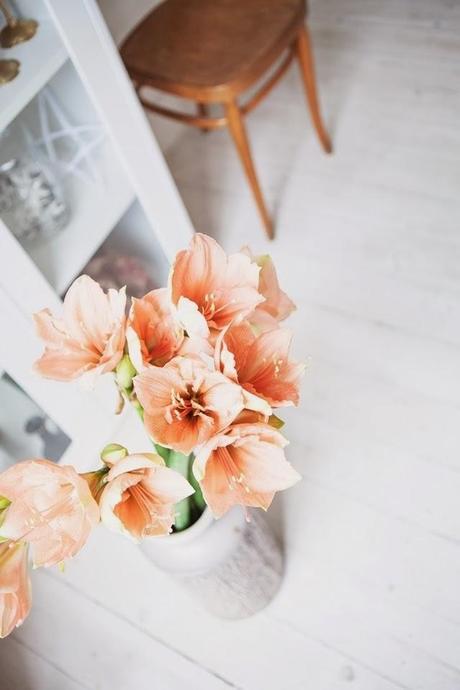 HOY ME GUSTA: SALMÓN + DORADO, UNA APUESTA SEGURA