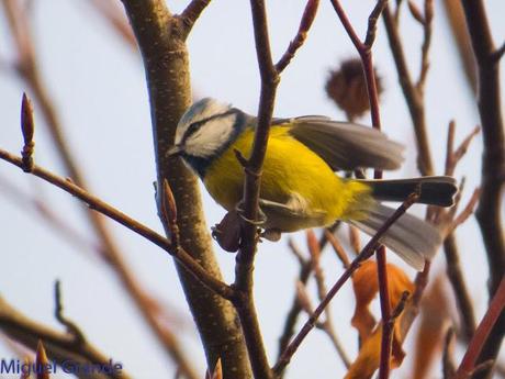 PARQUE DE BARAÑAIN-EL RATICO ANTES DE LA COMIDA NAVIDEÑA