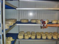 Vacaciones en el paraíso majorero