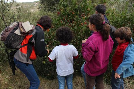 Excursión a Sant Llorenç de Munt barcelonacolours_sant_lorenç_munt05