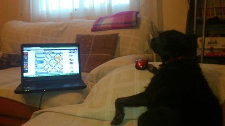 Después de tanto tiempo, un tag... Foto: Llego al sofa y me encuentro asi a Lorca...ya decia yo que el juego este engancha...