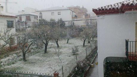 Después de tanto tiempo, un tag... Foto: El destino se las apaña para organizarnos un puente de lo más hogareño, Marina, convaleciente de gripe...y mientras, ahí afuera...