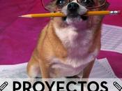 Proyecto Book Chef (primera edición)