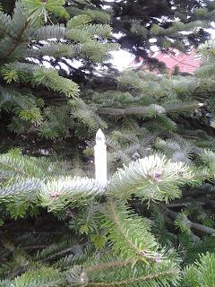 STOLLEN ~BAKE THE WORLD~