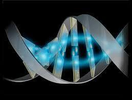 Uso de la Terapia Genetica en Afecciones de la Piel