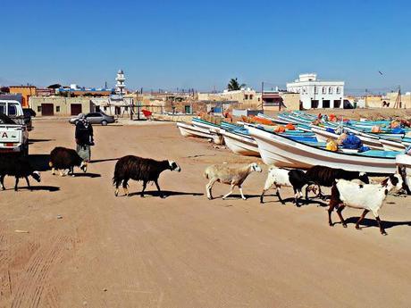 Sensaciones al regreso de Omán