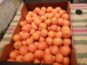 Mandarinas ricas ricas.