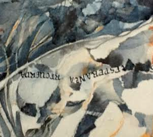 Stella Redruello Expo Internacional. España