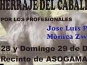 Asociación criadores magallanes realizará curso herraje morfología caballo