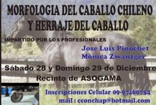 ASOCIACIÓN DE CRIADORES DE MAGALLANES REALIZARÁ CURSO DE HERRAJE Y MORFOLOGÍA DEL CABALLO