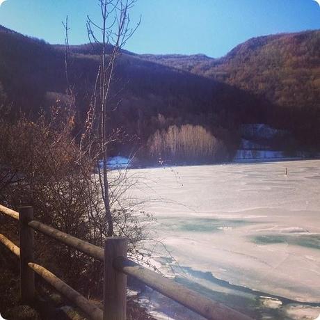 SINTIENDO EL INVIERNO