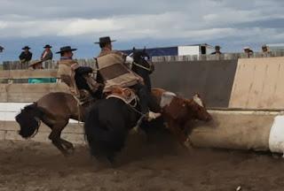 ARTURO RAMÍREZ Y MARCO CARO GANARON EL RODEO ORGANIZADO POR EL CLUB PUNTA ARENAS