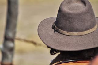 Los toros de De Haro para este domingo y paseo por la ganadería