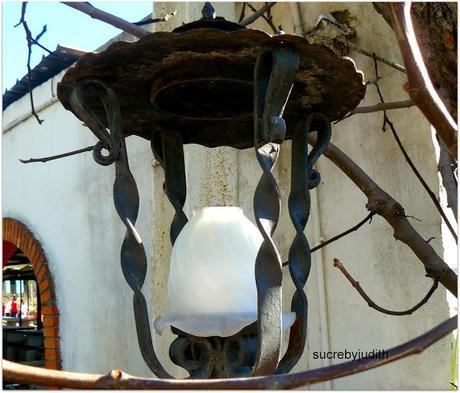 LOOK FOR A FIELD DAY LOOK FOR A FIELD DAY