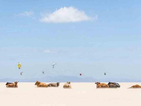 imagenes del 2013  parte 1