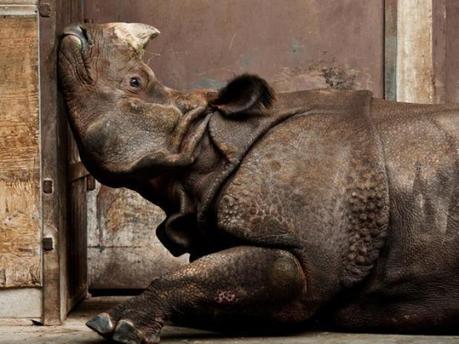 imagenes del 2013  parte 1