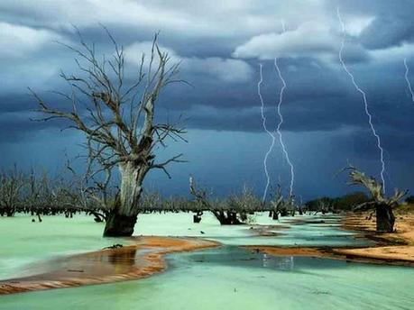 imagenes del 2013  parte 1