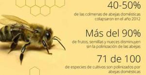 Las abejas son, por desgracia, noticia de ecología