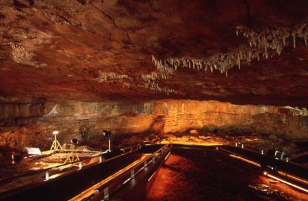 museo altamira Museos gratis   arte low cost