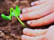 ideas para crear valor aumentar productividad