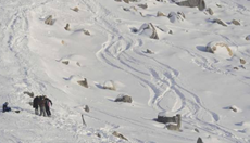 SCHUMACHER SIGUE EN ESTADO CRITICO SEGUN LOS MEDICOS SCHUMACHER SIGUE EN ESTADO CRITICO SEGUN LOS MEDICOS