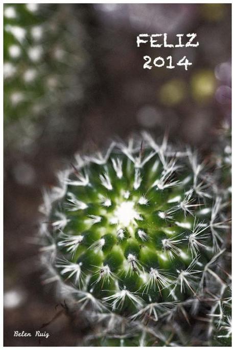 feliz 2014