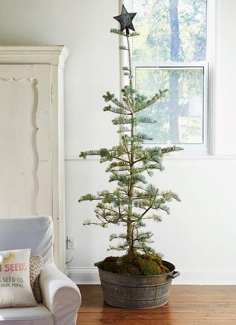 MOMENTOS NAVIDEÑOS EN UNA ANTIGUA IGLESIA RECONVERTIDA