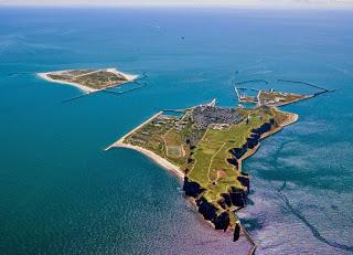 Gaviotas sombrías de paso