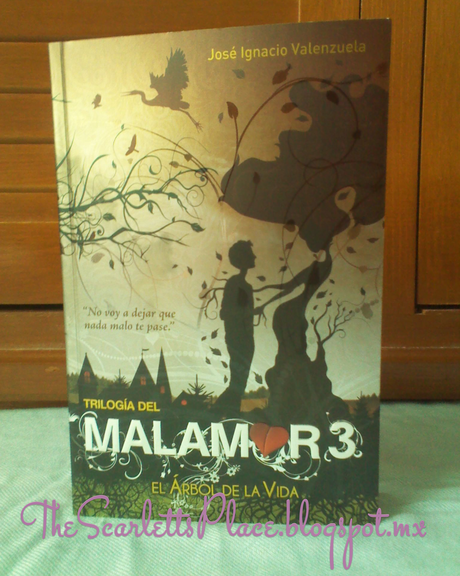 IMM #V... El Último del 2013... [Diciembre]