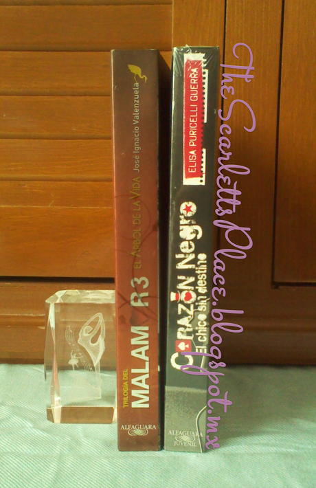 IMM #V... El Último del 2013... [Diciembre]