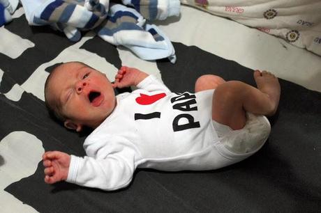 Nuevo miembro en la familia :)