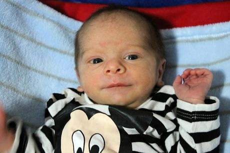 Nuevo miembro en la familia :)