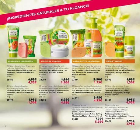 FIN DE AÑO Y NUEVO CATÁLOGO DE ORIFLAME