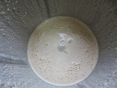 Mousse de foie gras de pato